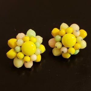 💕Vintage Citrus Bead Clip Earings